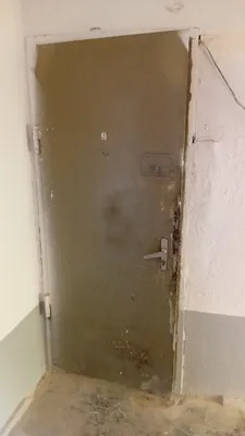 Kirish uchun temir eshik sotiladi 1