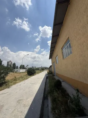 Ohangaron bazasi sotiladi 1