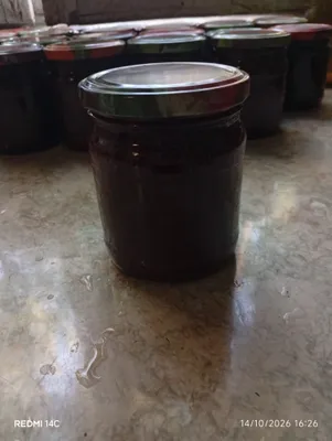 Домашняя малина 1