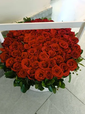 Gul sotladi 1