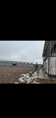 Qibray, Bayqo‘rg‘onda ijara — 1 m² uchun 40 000 so‘m 1
