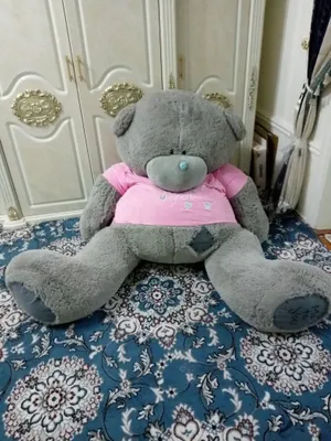 katta ayiq sotiladi 1