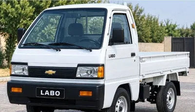 Услуги Labo 24/7