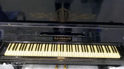 Pianina sotiladi Belorussiya 1