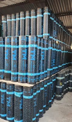 Туркменский пализол TM Izaroll Hico Təbəgü Ankara 1