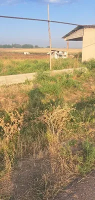 7.5 sutix tayyor kadastiri bor yer 1