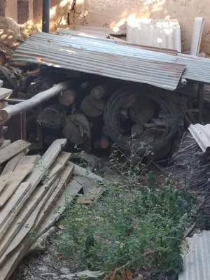 Terak to'sin qalin 5 metr 5,5 metr chiqadi xolati o'rta baquvat quru