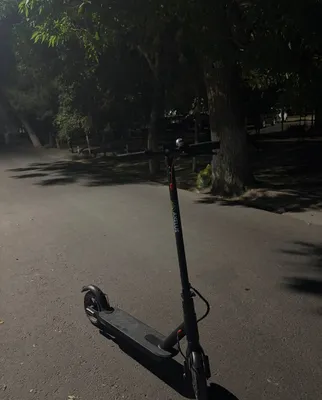 AXELUS elektr samокati 1