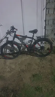 Tog' velosipedi Bonvi 025 1