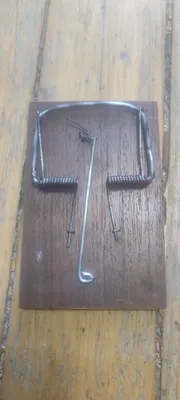 Kalamush tutqichlari sotiladi 1