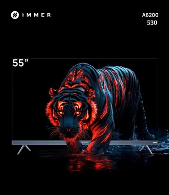 IMMER 55 A6200 QLED 120HZ televizori 1