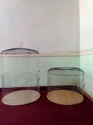 Клетки для птиц