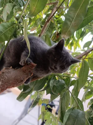 Porno: Busty ayol oglining dostini sikadi Hitomi Tanaka ishtirokidagi ushbu yapon qattiq filmi sizni aqldan ozdiradi.