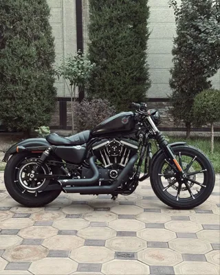 Harley Davidson Sportster XL883N Iron 1