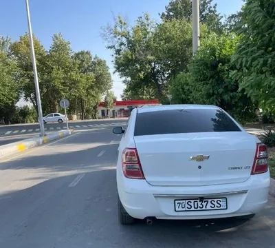 2025 metan 4 yangi bolon chexol polik 1