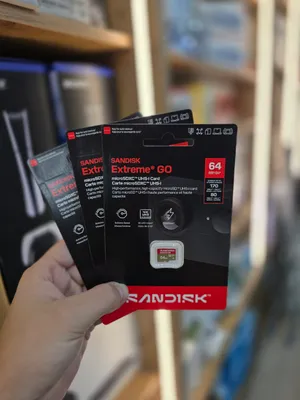 Sandisk micro SD Extreme GO
