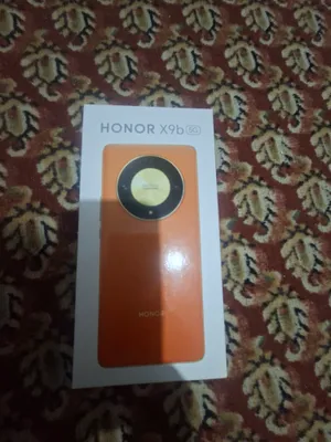 Honor X9b 5G, 8/256 ГБ 1