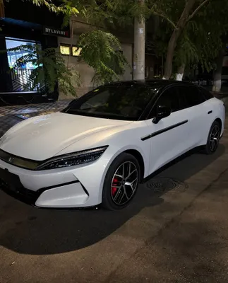 BYD Han L, два электродвигателя 1