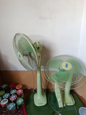 Ventilyator