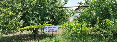 Продаётся участок 4 сотки 1