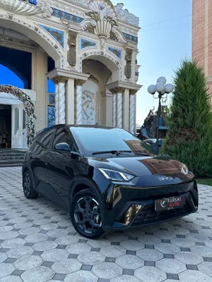 byd seagull nasiya savdo 2024 1
