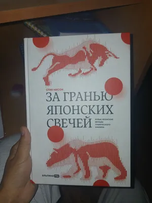 За гранью японских свечей 1