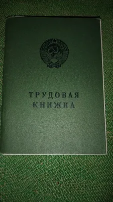 Вкладыш трудовой книжки. 1