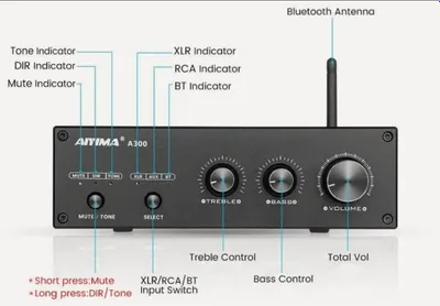 Усилители Aiyima A300, 300 Вт, 2 шт., оригинал 1