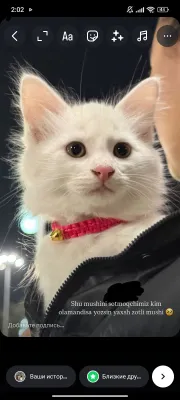 Chiroyli Latina dumbalari bilan porno Rus bekasi porno tube