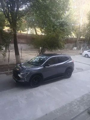 Haydovchi bilan avtomobil ijarasi