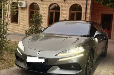 Sotiladi Denza Z9 1