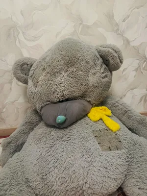 Teddy (ayiq) katta 1