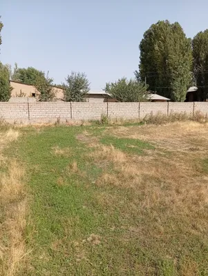 Yer sotiladi kok terak genralda 1