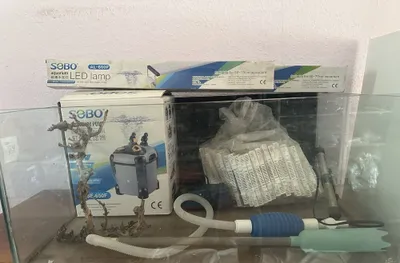 Barcha jihozlari bilan akvarium