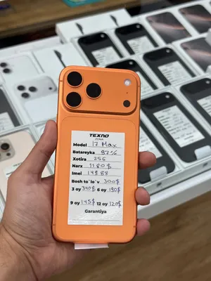 iPhone 17 Pro Max