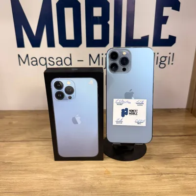 iPhone 13 Pro Max