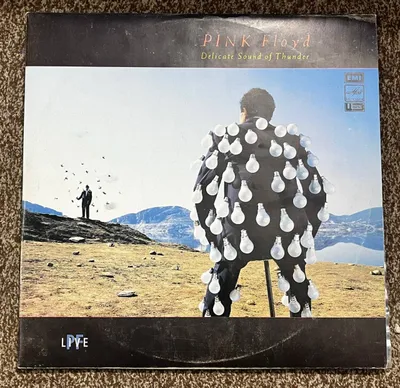 Виниловая пластинка Pink Floyd 1
