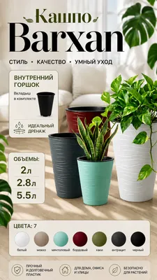 Gullar uchun tuvak / «Barxan» kashpo 1