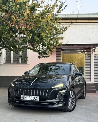Hongqi eqm5 450km 1