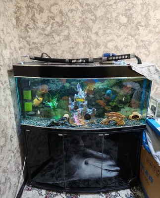 Akvarium 250 litr 1