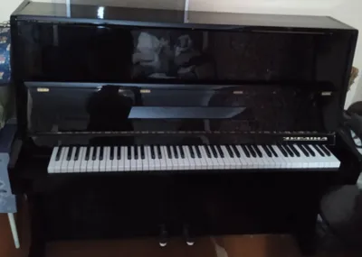 Ukraina pianinosi sotiladi
