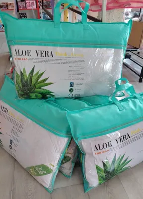 Aloe Vera