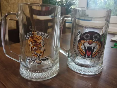Pivo krujkalari, 6 donalik to‘plam 1
