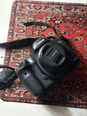 Canon mark uch 5D 1
