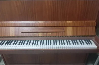 Piyanina nomi Qizil oktyabr 1