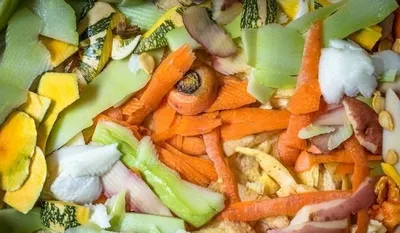 Chorva mollari uchun Poʻchoq bor 1