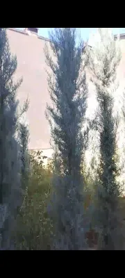 Arizonka Archa 1