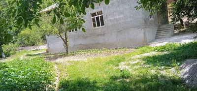 Бустонлыкский район, кишлак Испай 1
