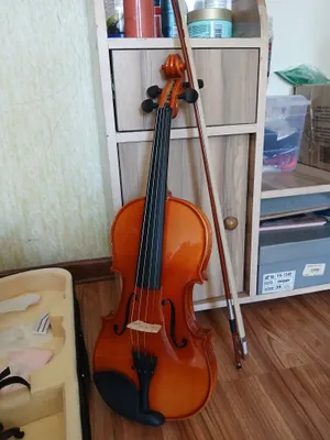 Skripka violin strings 1