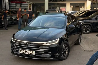 BYD Chazor 55, 2-я позиция 1